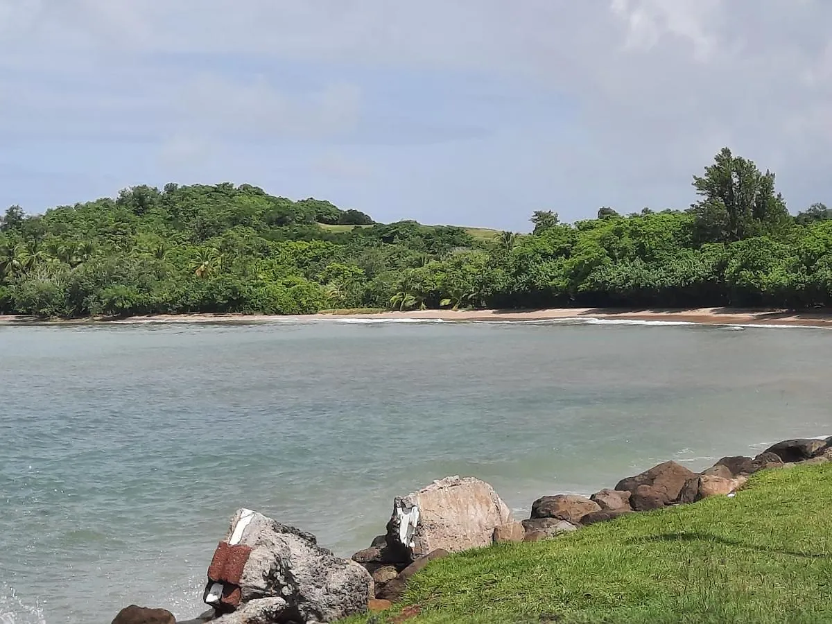 Martinique La Trinite Kazakassy Studio Plain-Pied, Fonctionnel Et Vue Mer